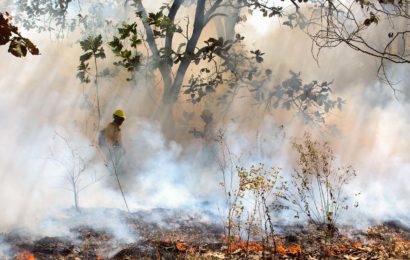 Incendios forestales se intensifican en abril y mayo: CONAFOR