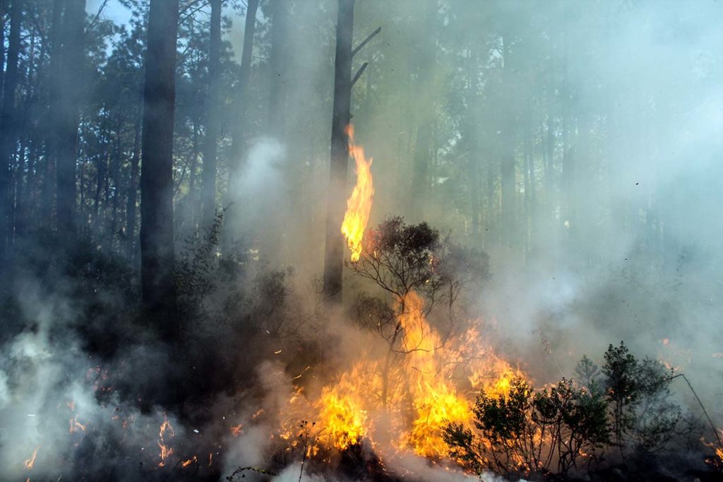 CONAFOR Tlaxcala implementará operativo contra incendios forestales en Semana Santa