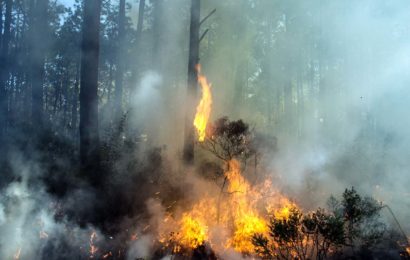 CONAFOR Tlaxcala implementará operativo contra incendios forestales en Semana Santa