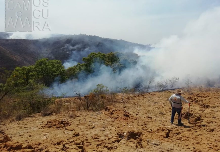 Incendio en Cerro Blanco es controlado
