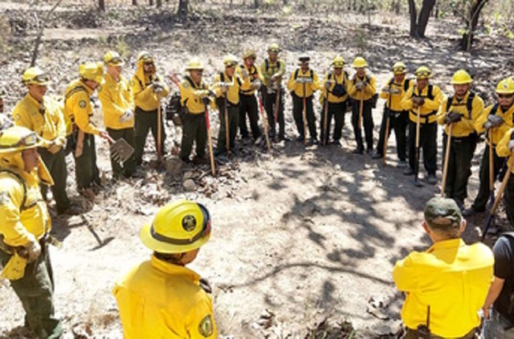 La CONAFOR exhorta a la población a no combatir incendios forestales si no está capacitada
