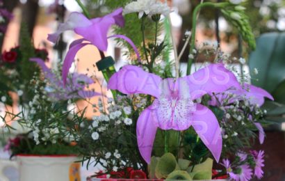 Pobladores de Belén realizan expo-venta de orquídeas por el día de las madres
