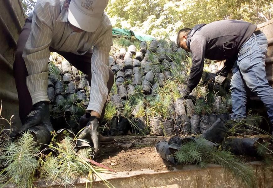 Entrega CGE 450 mil árboles como parte del programa de reforestación “Plantando un Futuro”