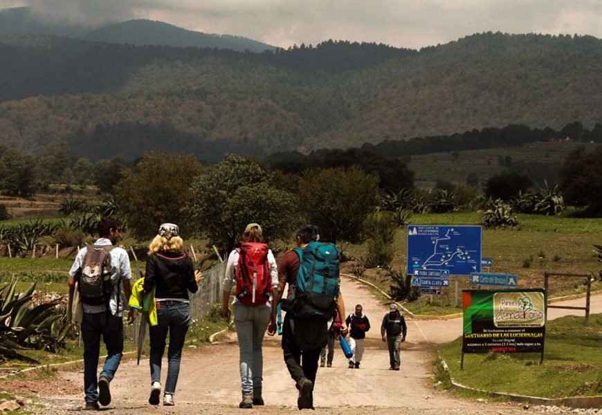 Más de 58 mil visitantes han arribado al Santuario de las Luciérnagas