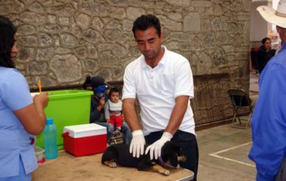 Módulo canino celebrará 34 aniversario con campaña gratuita de esterilización de mascotas