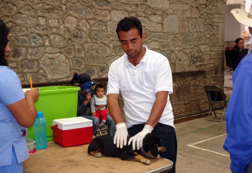 Módulo canino celebrará 34 aniversario con campaña gratuita de esterilización de mascotas