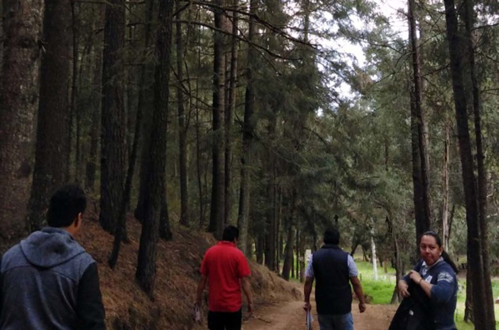 Realiza Coltlax estudios de sustentabilidad en bosques de Tlaxcala