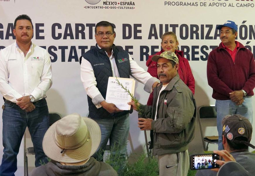 Entregan más de 180 mil árboles para reforestar el campo