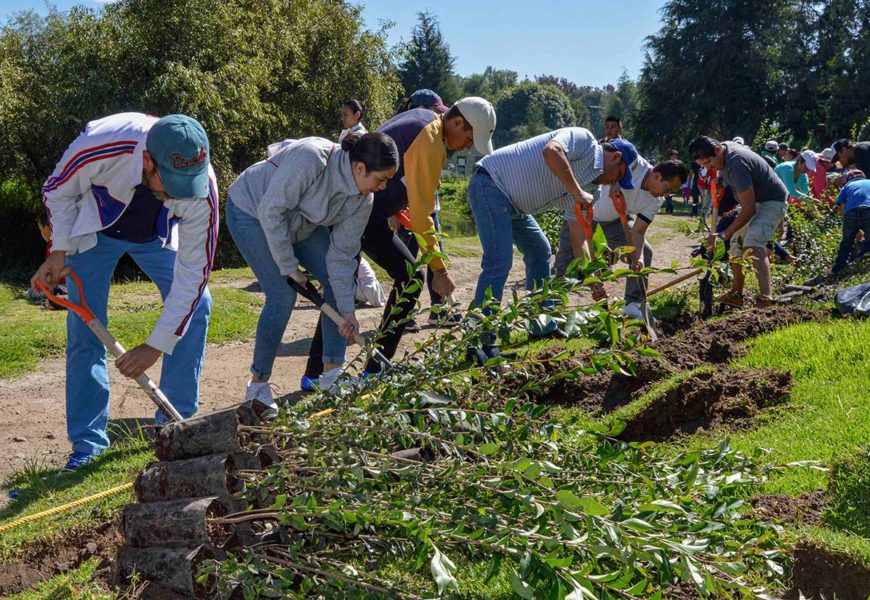 Programa Estatal de Reforestación registra 85 por ciento de avance: CGE