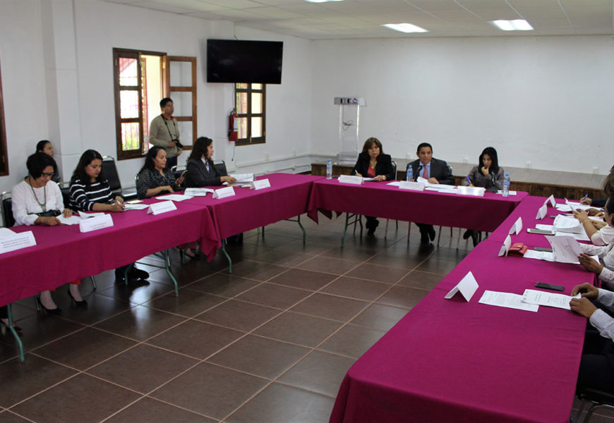 Analiza Observatorio generar propuestas sobre de igualdad de género