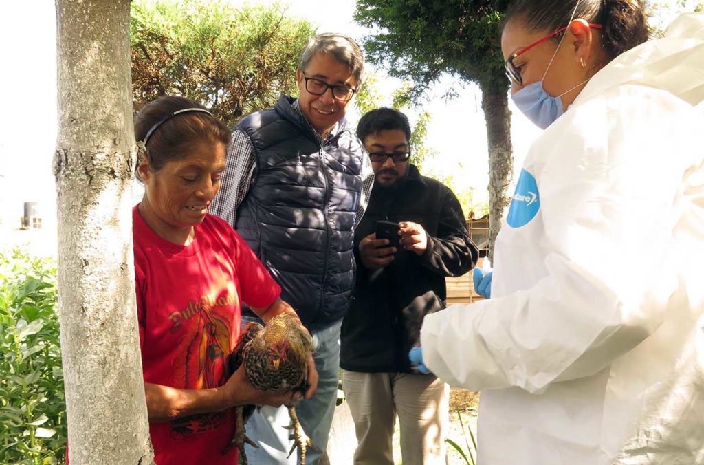 Inició Sefoa campaña de vacunación de aves con apoyo de la UNAM