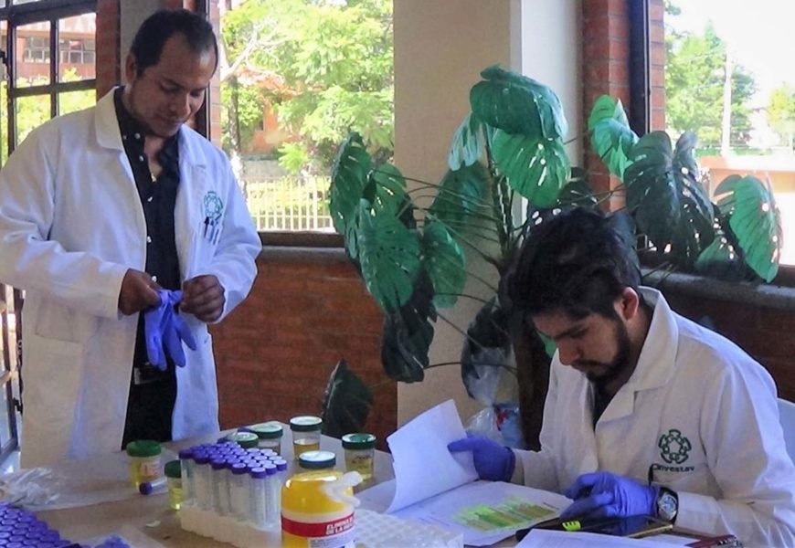Realizan tamizajes a estudiantes para identificar casos de enfermedad renal