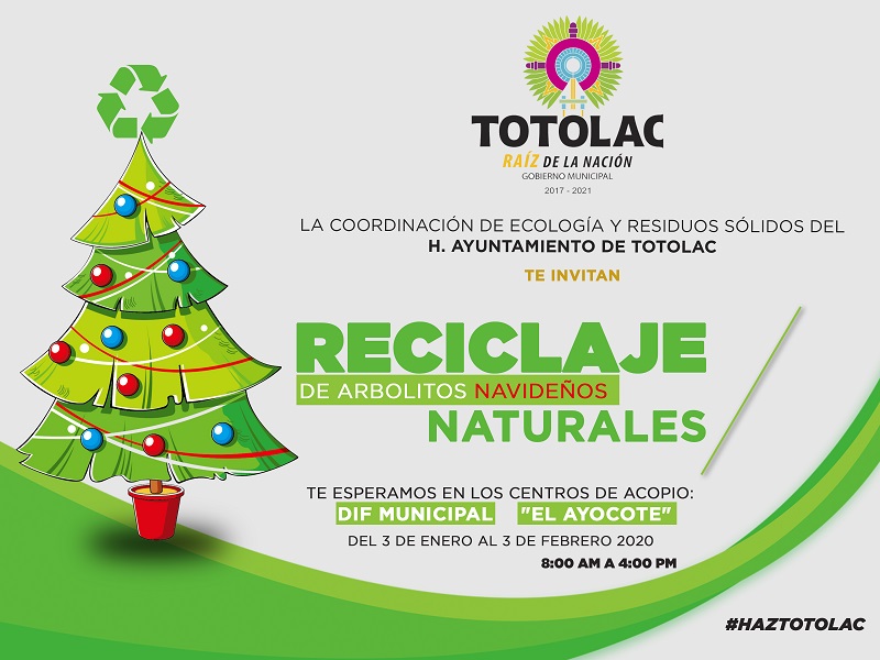 Con el objetivo de sumar esfuerzos en favor del medio ambiente inició en Totolac la campaña de reciclaje de arbolitos naturales de navidad.