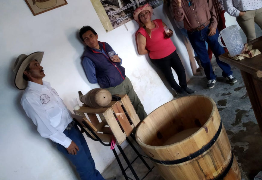 Buscan rescatar tradición ancestral del maguey en Altzayanca, Tlaxcala