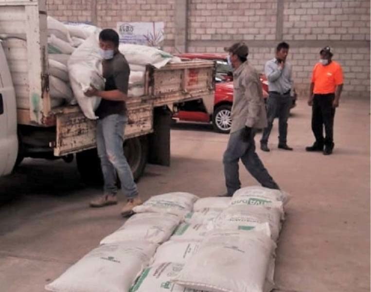 Sefoa respalda con fertilizantes y semillas a productores del campo