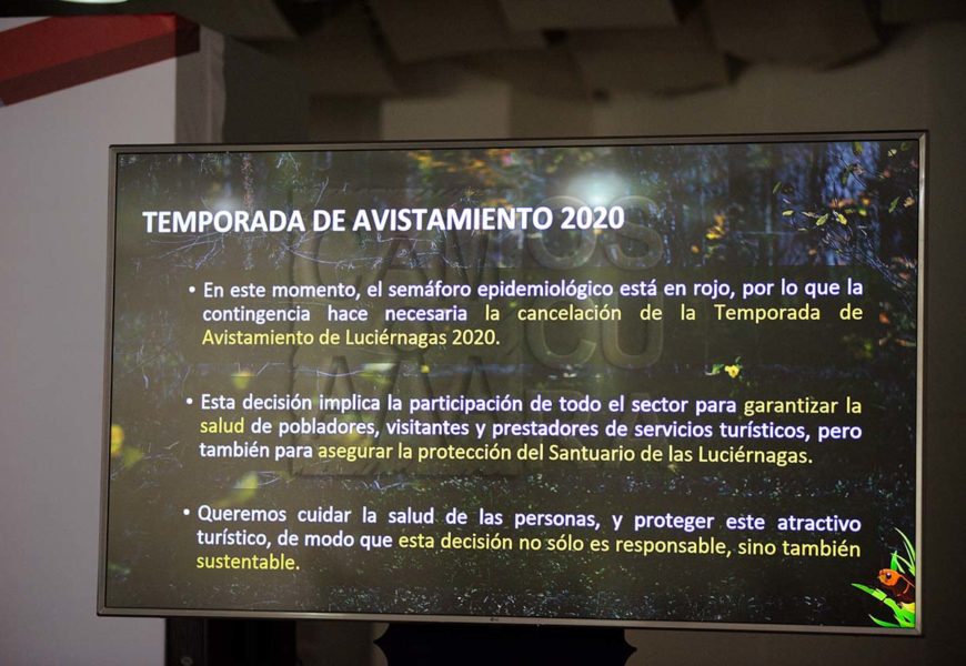 Temporada de avistamiento de Luciérnagas 2020 no se realizará