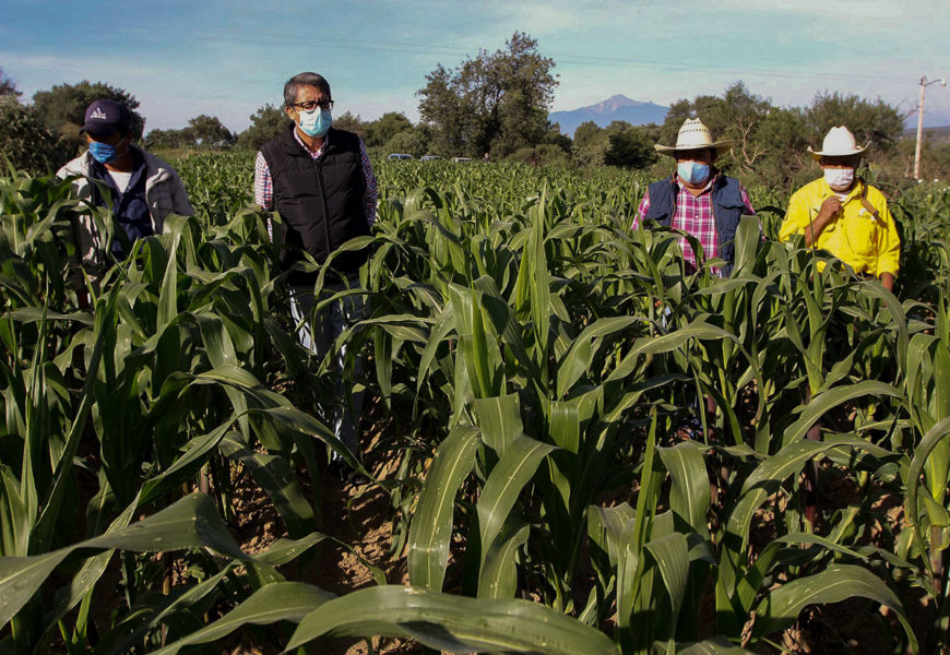 Fortalece Sefoa con más de 18 mdp campo en la zona oriente del estado