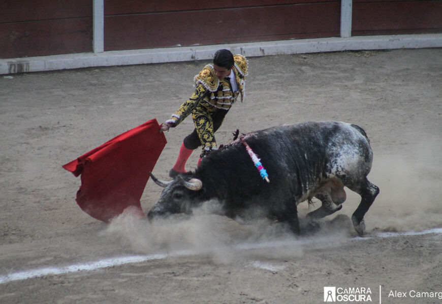 Tauromaquia, una manera elegante de darle muerte a un toro