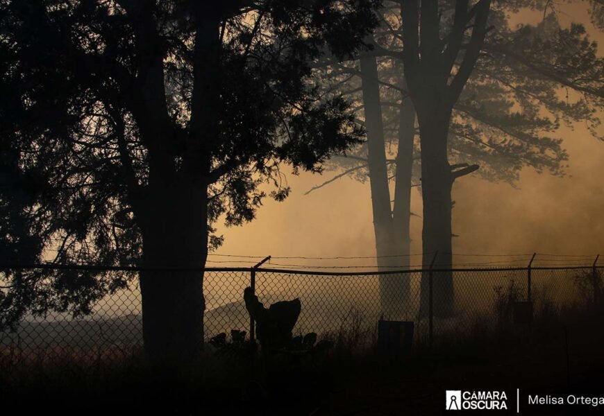 Tlaxcala, la cuarta entidad con más incendios en lo que va del año Tlaxcala, la cuarta entidad con más incendios en lo que va del año