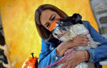Se compromete Eréndira Jiménez con Agenda de Bienestar Animal