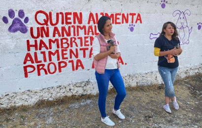 Promueve Liliana Becerril la protección de la vida animal