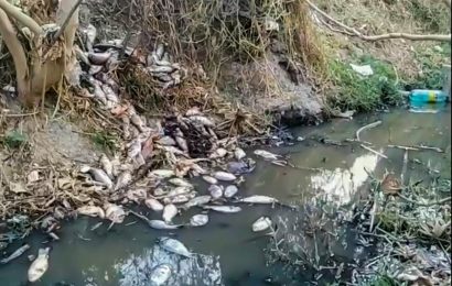 Aguas residuales y pesca desmedida dañan la Laguna de Acuitlapilco, denuncian pobladores
