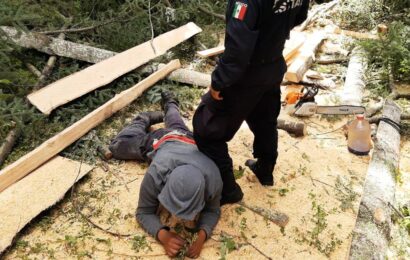 Policía de montaña detuvo a dos personas por daños al medio ambiente y asegura material forestal en La Malinche