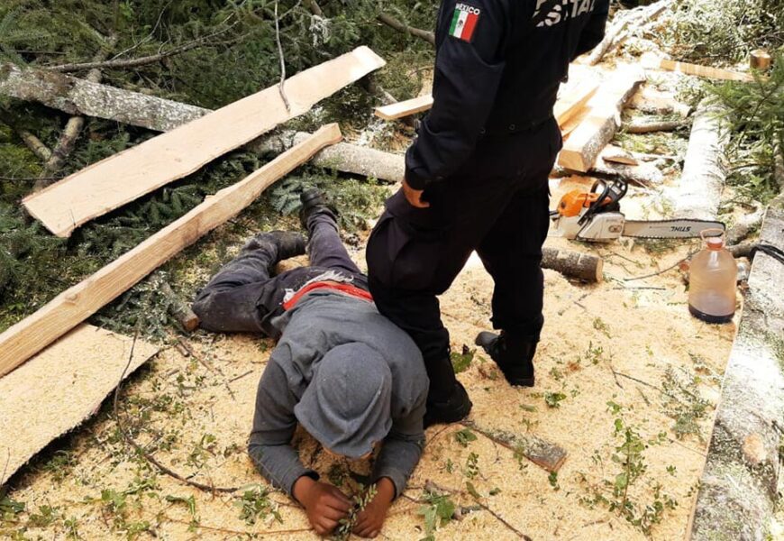 Policía de montaña detuvo a dos personas por daños al medio ambiente y asegura material forestal en La Malinche