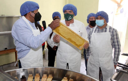 Atiende SEFOA a más de 100 apicultores con acompañamiento técnico