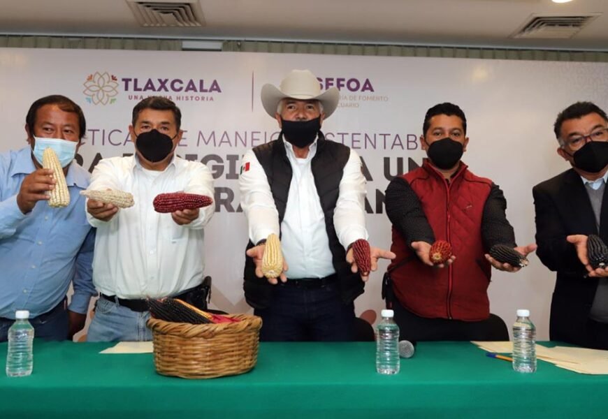 Presenta Sefoa proyecto para reconvertir la agricultura tradicional a orgánica Presenta Sefoa proyecto para reconvertir la agricultura tradicional a orgánica