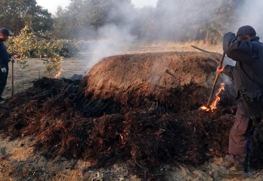 SSC aseguró material forestal en el Parque Nacional La Malinche