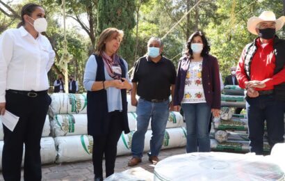 Lorena Cuéllar entregó apoyos a productores para reconstrucción de invernaderos