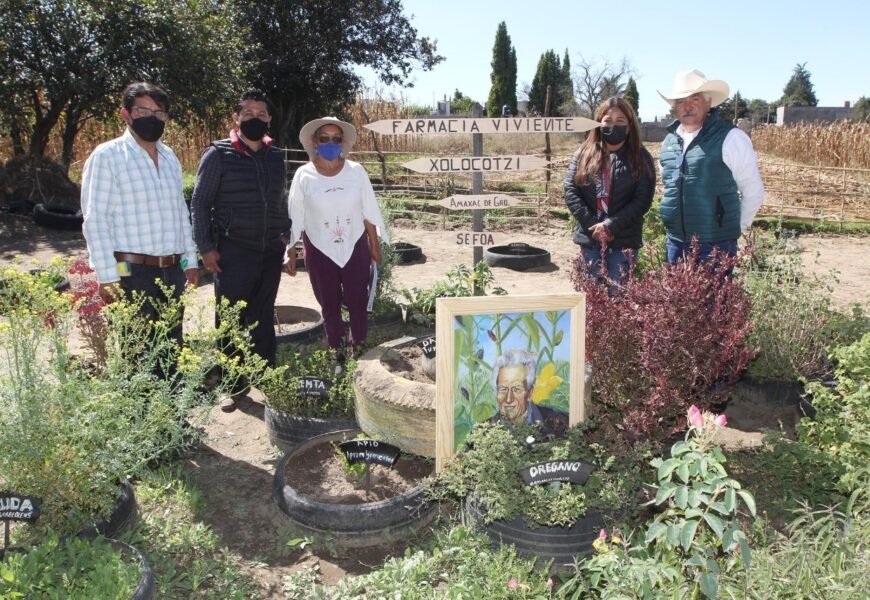 Impulsa Sefoa la creación de “Farmacias Vivientes”