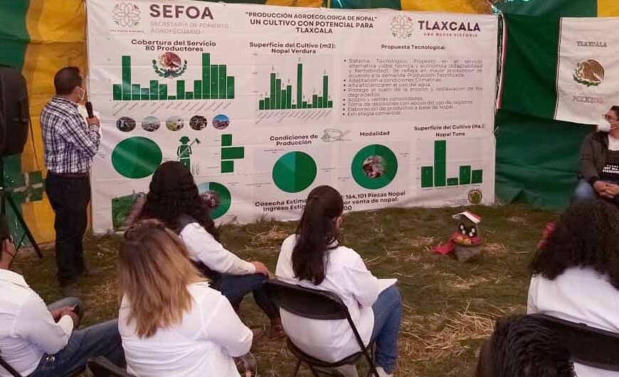 CULTIVO DE NOPAL, OPCIÓN EFECTIVA PARA PRODUCCIÓN AGRÍCOLA EN TLAXCALA CULTIVO DE NOPAL, OPCIÓN EFECTIVA PARA PRODUCCIÓN AGRÍCOLA EN TLAXCALA