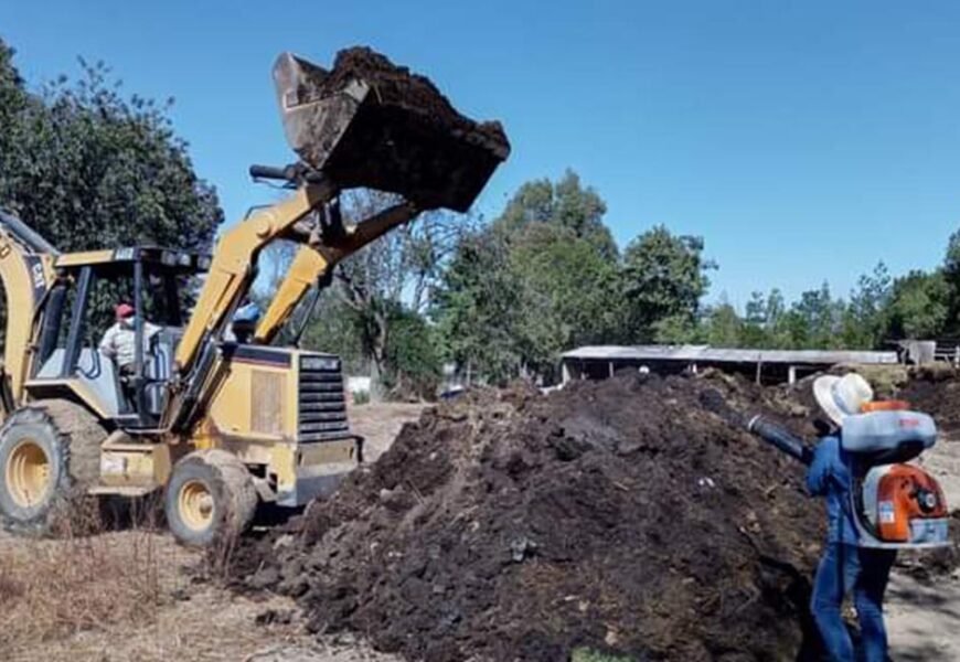 Fomenta SEFOA la transición de agricultura tradicional a orgánica Fomenta SEFOA la transición de agricultura tradicional a orgánica