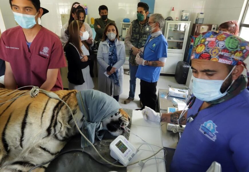 Supervisó Lorena Cuéllar zoológico del Altiplano Supervisó Lorena Cuéllar zoológico del Altiplano