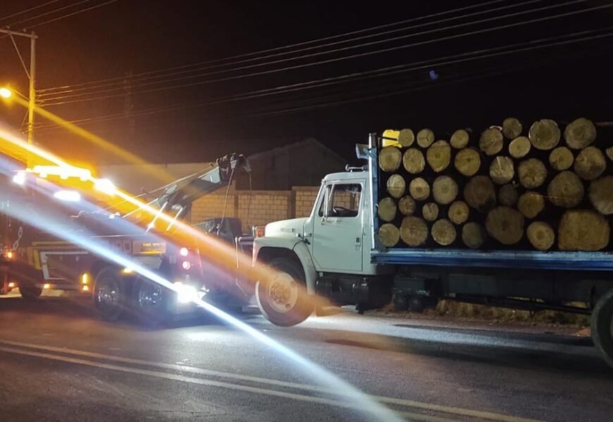 SSC aseguró dos tractocamiones con material forestal