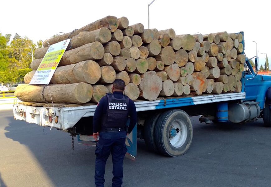 SSC detuvo a presunto responsable de transporte ilícito de recurso forestal
