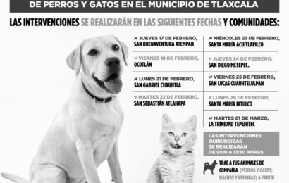 Esterilizarán perros y gatos en comunidades de Tlaxcala Capital