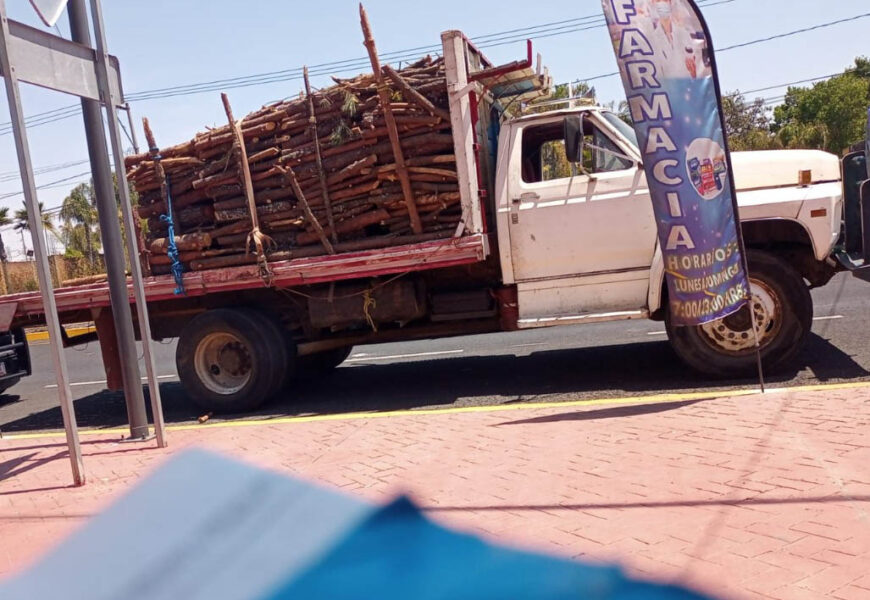 Detienen a presunto responsable de transporte ilegal de recurso forestal