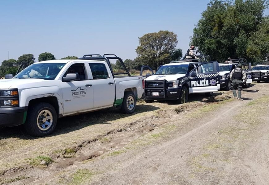 Autoridades federales y estatales realizan operativo para combatir delitos ambientales