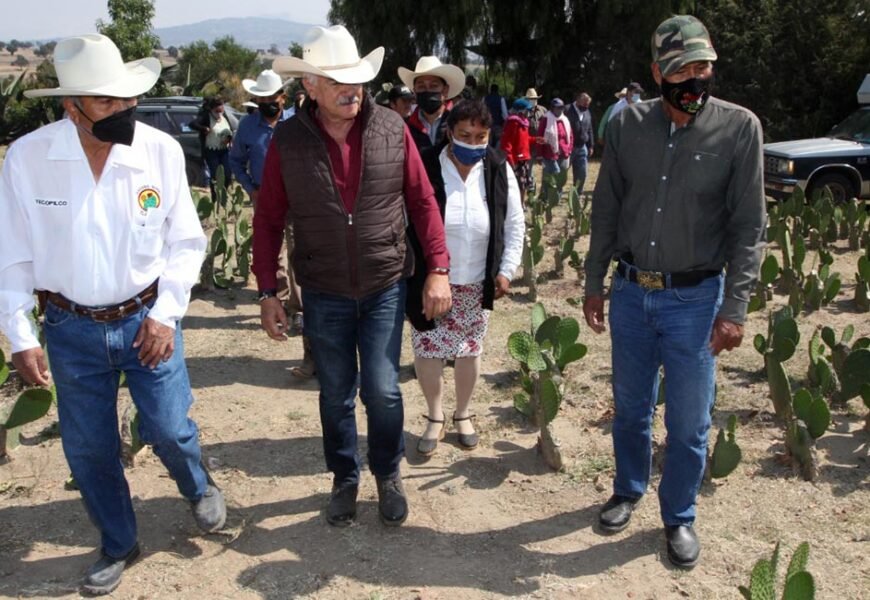 Impulsa SIA el cultivo de nopal por su potencial productivo