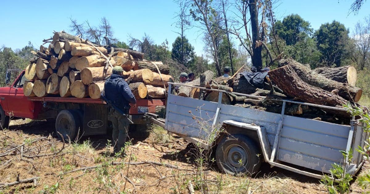 Asegura SSC camioneta y remolque con material forestal en San Luis Teolocholco
