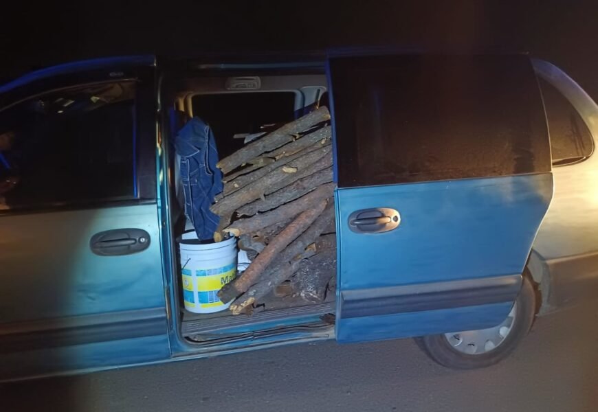 Policía de montaña asegura dos vehículos con materia prima forestal en La Malinche Y Tlaxco