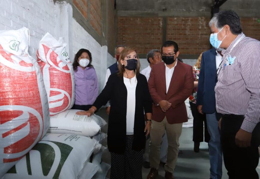 Entregan Gobierno del estado y Sader apoyos del programa Fertilizantes para el Bienestar en Huamantla Entregan Gobierno del estado y Sader apoyos del programa Fertilizantes para el Bienestar en Huamantla