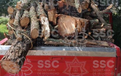 Asegura SSC material forestal en San José Teacalco