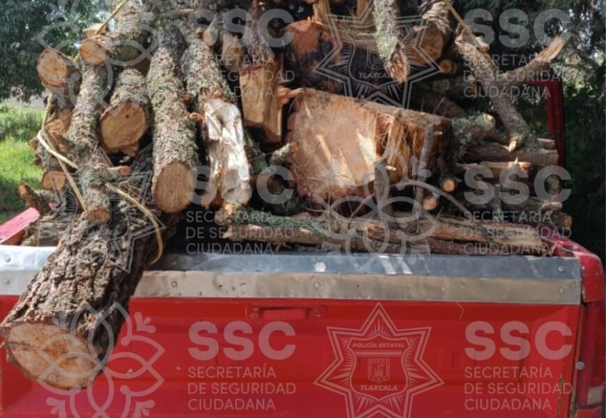 Asegura SSC material forestal en San José Teacalco