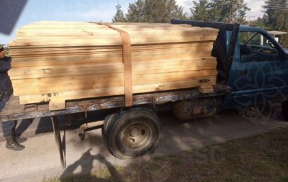 Asegura SSC camioneta con material forestal en Sanctórum