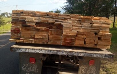 Inicia PGJE investigación por encubrimiento y cohecho al transportar madera de forma ilícita