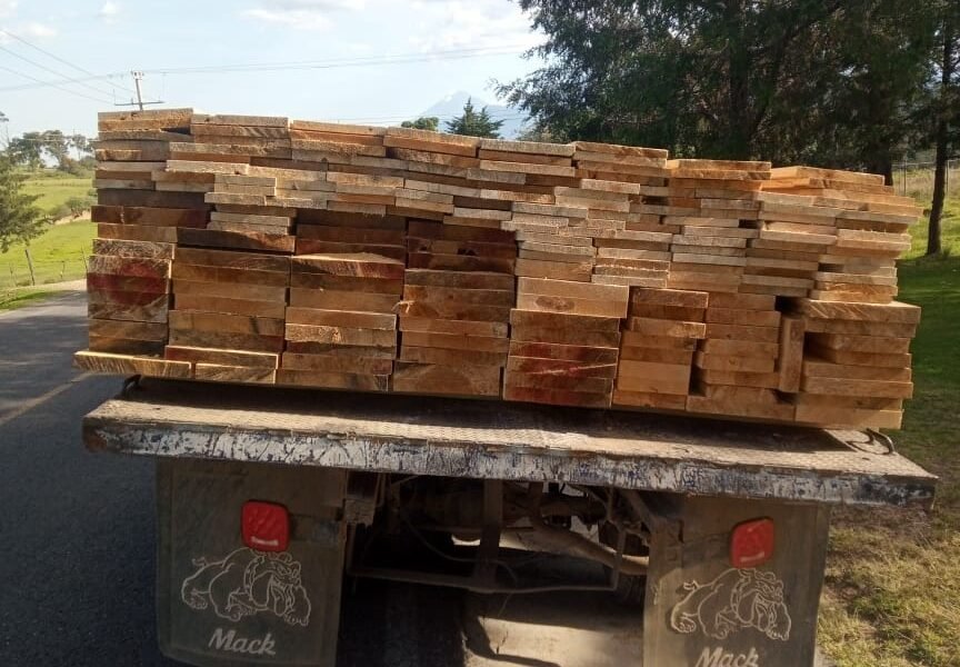 Inicia PGJE investigación por encubrimiento y cohecho al transportar madera de forma ilícita